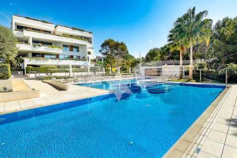 Lejlighed i Santa Ponsa, Mallorca, Santa Ponsa - € 2.390.000 | Ref: 4147 - foto 17