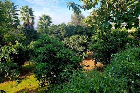 Masia a Canals, Valencia, Canals - € 249.000 | Ref: EB15224 - foto 36
