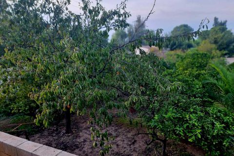 Masia a Canals, Valencia, Canals - € 249.000 | Ref: EB15224 - foto 37