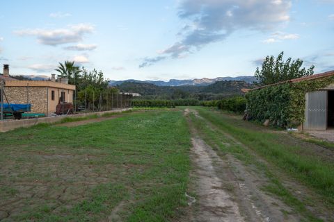 Finca i Aldover, Tarragona, Aldover - € 23.000 | Ref: 294 - foto 2
