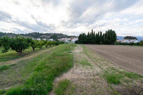 Finca i Aldover, Tarragona, Aldover - € 23.000 | Ref: 294 - foto 3