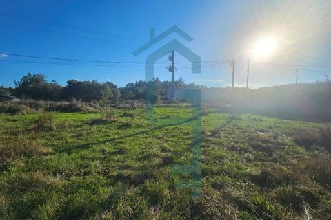 Helårsgrund i Turquel, Leiria, Turquel - € 25.000 | Ref: TER_8 - foto 2