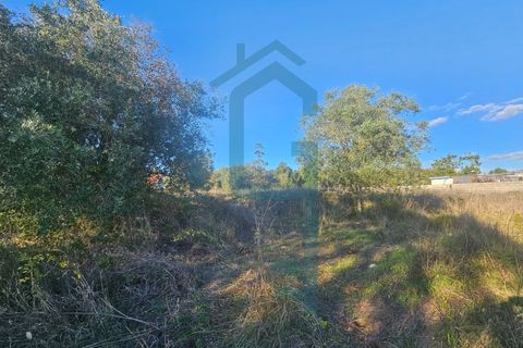 Helårsgrund i Turquel, Leiria, Turquel - € 25.000 | Ref: TER_8 - foto 3