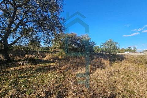 Helårsgrund i Turquel, Leiria, Turquel - € 25.000 | Ref: TER_8 - foto 4