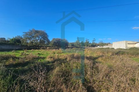 Helårsgrund i Turquel, Leiria, Turquel - € 25.000 | Ref: TER_8 - foto 5