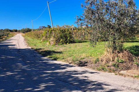 Villa i Frisa, Chieti, Frisa - € 220.000 | Ref: VC1196 - foto 4