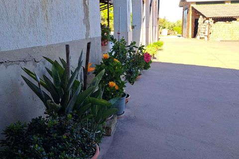 Villa i Frisa, Chieti, Frisa - € 220.000 | Ref: VC1196 - foto 36