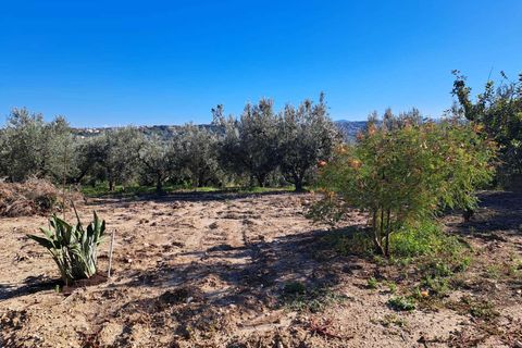 Villa i Frisa, Chieti, Frisa - € 220.000 | Ref: VC1196 - foto 37