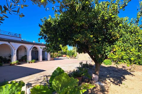 Villa i Frisa, Chieti, Frisa - € 220.000 | Ref: VC1196 - foto 38