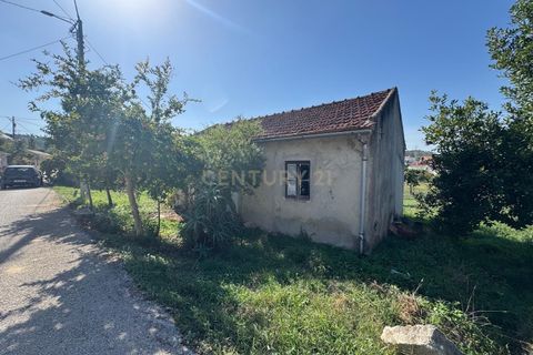 Villa i Pombal, Leiria, Pombal - € 42.500 | Ref: C0381-00830 - foto 2