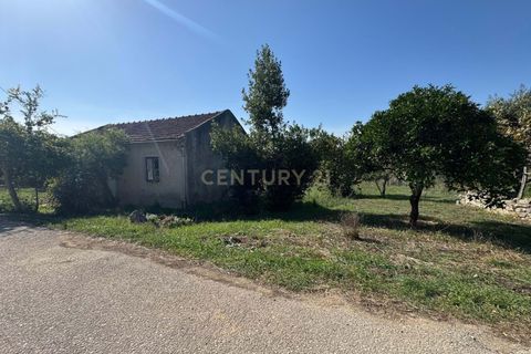 Villa i Pombal, Leiria, Pombal - € 42.500 | Ref: C0381-00830 - foto 3