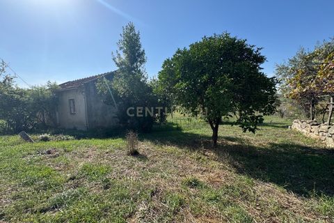 Villa i Pombal, Leiria, Pombal - € 42.500 | Ref: C0381-00830 - foto 4