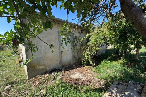 Villa i Pombal, Leiria, Pombal - € 42.500 | Ref: C0381-00830 - foto 5