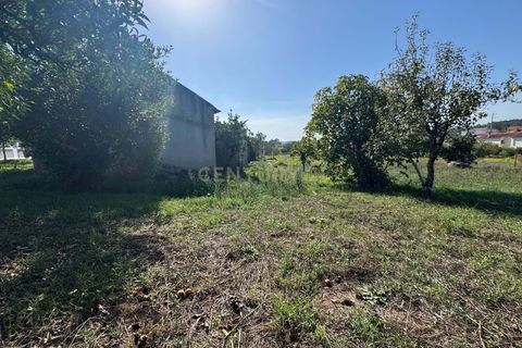 Villa i Pombal, Leiria, Pombal - € 42.500 | Ref: C0381-00830 - foto 7