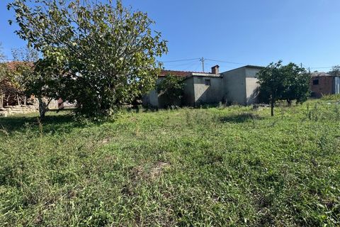 Villa i Pombal, Leiria, Pombal - € 42.500 | Ref: C0381-00830 - foto 8