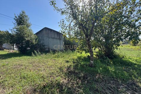 Villa i Pombal, Leiria, Pombal - € 42.500 | Ref: C0381-00830 - foto 9