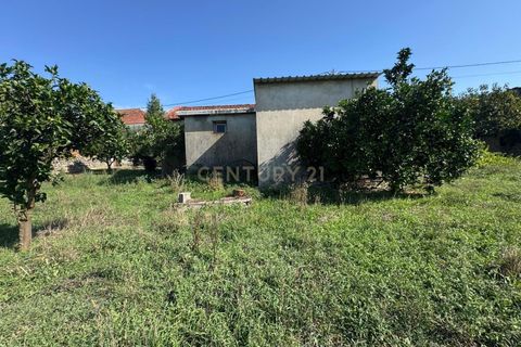 Villa i Pombal, Leiria, Pombal - € 42.500 | Ref: C0381-00830 - foto 10