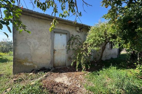 Villa i Pombal, Leiria, Pombal - € 42.500 | Ref: C0381-00830 - foto 11