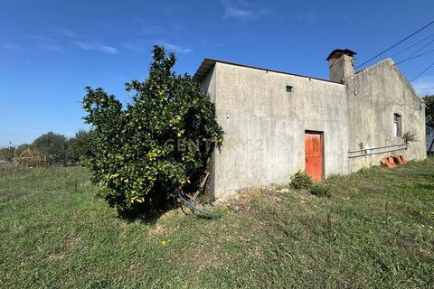 Villa i Pombal, Leiria, Pombal - € 42.500 | Ref: C0381-00830 - foto 12