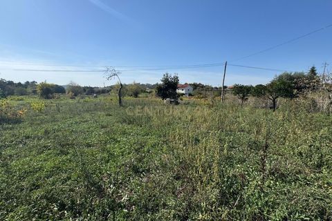 Villa i Pombal, Leiria, Pombal - € 42.500 | Ref: C0381-00830 - foto 13