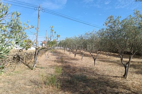 Helårsgrund i Castelo Branco, Castelo Branco, Castelo Branco - € 20.000 | Ref: 102250209 - foto 2