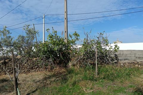 Helårsgrund i Castelo Branco, Castelo Branco, Castelo Branco - € 20.000 | Ref: 102250209 - foto 3