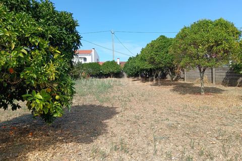 Helårsgrund i Castelo Branco, Castelo Branco, Castelo Branco - € 47.500 | Ref: 102250208 - foto 1