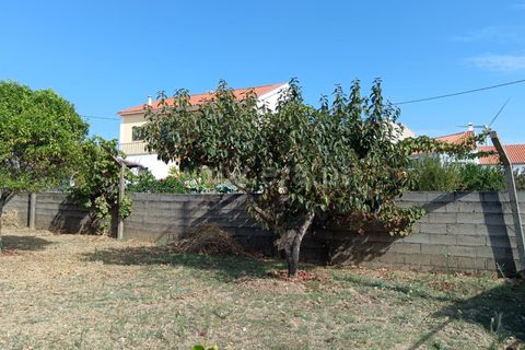 Helårsgrund i Castelo Branco, Castelo Branco, Castelo Branco - € 47.500 | Ref: 102250208 - foto 2