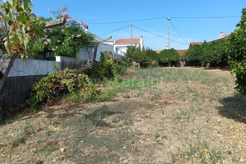 Helårsgrund i Castelo Branco, Castelo Branco, Castelo Branco - € 47.500 | Ref: 102250208 - foto 3