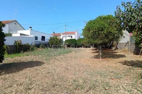 Helårsgrund i Castelo Branco, Castelo Branco, Castelo Branco - € 47.500 | Ref: 102250208 - foto 4