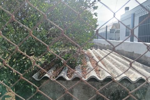 Helårsgrund i Castelo Branco, Castelo Branco, Castelo Branco - € 47.500 | Ref: 102250208 - foto 5