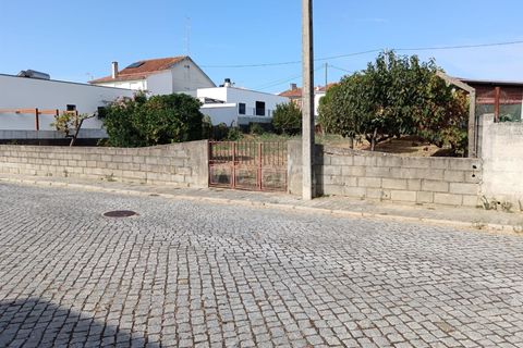 Helårsgrund i Castelo Branco, Castelo Branco, Castelo Branco - € 47.500 | Ref: 102250208 - foto 6