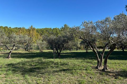Tomt i Flayosc, Var, Flayosc - € 219 500 | Ref: 426889RCLA - foto 6