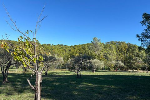 Tomt i Flayosc, Var, Flayosc - € 219 500 | Ref: 426889RCLA - foto 7