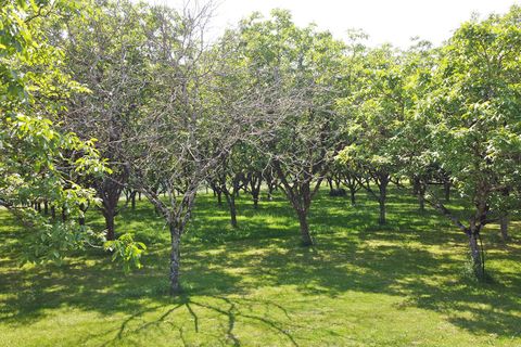 Villa i Tamnies, Dordogne, Tamnies - € 699.000 | Ref: 426923MND - foto 6