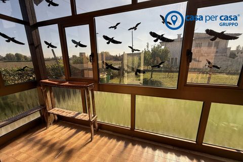 Villa a Papozze, Rovigo, Papozze - € 70.000 | Ref: ADL291 - foto 13