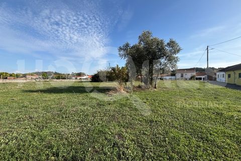 Helårsgrund i Coimbra, Coimbra, Coimbra - € 249.000 | Ref: HMSÒL_47 - foto 2