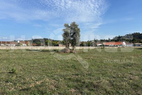 Helårsgrund i Coimbra, Coimbra, Coimbra - € 249.000 | Ref: HMSÒL_47 - foto 6