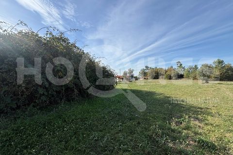 Helårsgrund i Coimbra, Coimbra, Coimbra - € 249.000 | Ref: HMSÒL_47 - foto 12