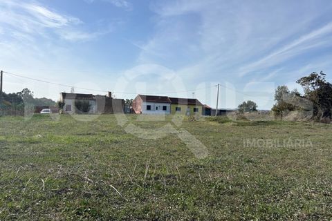 Helårsgrund i Coimbra, Coimbra, Coimbra - € 249.000 | Ref: HMSÒL_47 - foto 17
