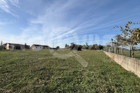 Helårsgrund i Coimbra, Coimbra, Coimbra - € 249.000 | Ref: HMSÒL_47 - foto 18