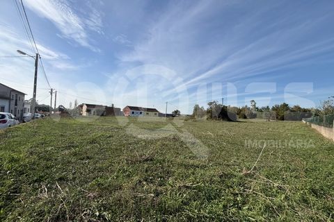 Helårsgrund i Coimbra, Coimbra, Coimbra - € 249.000 | Ref: HMSÒL_47 - foto 20