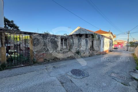 Villa i Coimbra, Coimbra, Coimbra - € 77.000 | Ref: HMCAS_42 - foto 7