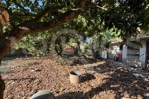 Villa i Coimbra, Coimbra, Coimbra - € 77.000 | Ref: HMCAS_42 - foto 12