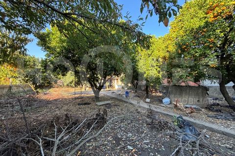 Villa i Coimbra, Coimbra, Coimbra - € 77.000 | Ref: HMCAS_42 - foto 17