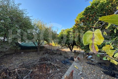 Villa i Coimbra, Coimbra, Coimbra - € 77.000 | Ref: HMCAS_42 - foto 18