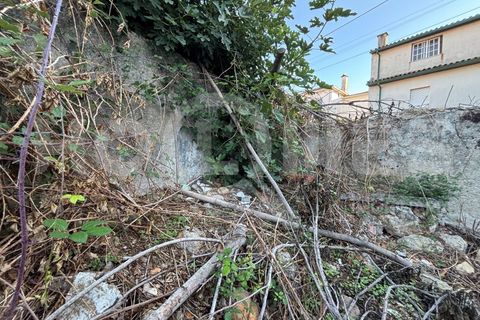 Villa i Coimbra, Coimbra, Coimbra - € 77.000 | Ref: HMCAS_42 - foto 22