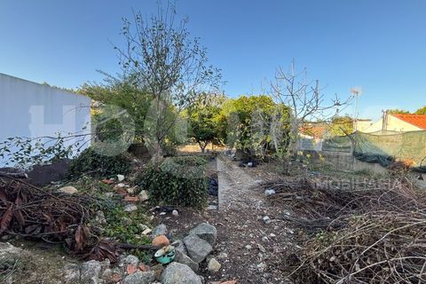 Villa i Coimbra, Coimbra, Coimbra - € 77.000 | Ref: HMCAS_42 - foto 23