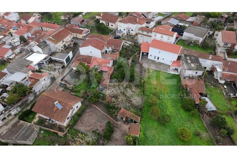 Villa i Coimbra, Coimbra, Coimbra - € 77.000 | Ref: HMCAS_42 - foto 31