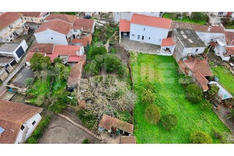 Villa i Coimbra, Coimbra, Coimbra - € 77.000 | Ref: HMCAS_42 - foto 35
